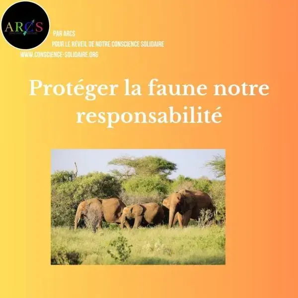 Protéger la faune